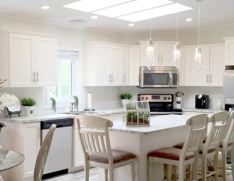 Amco Homes Inc 1 768x595