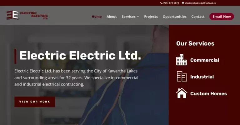electric electric ltd 768x400