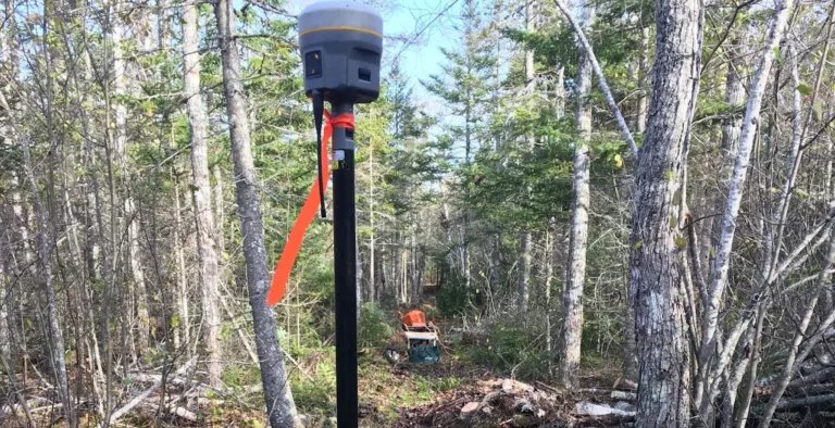MacMaster Surveys 1 768x394