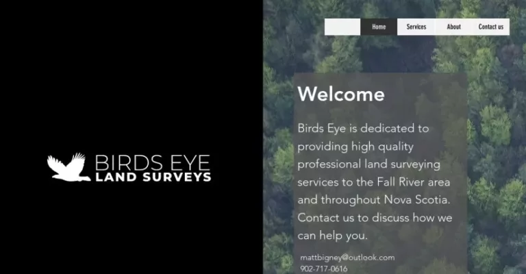 birds eye land surveys 1 768x400