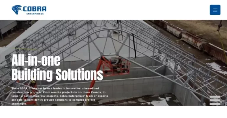 cobra enterprises ltd 1 768x400